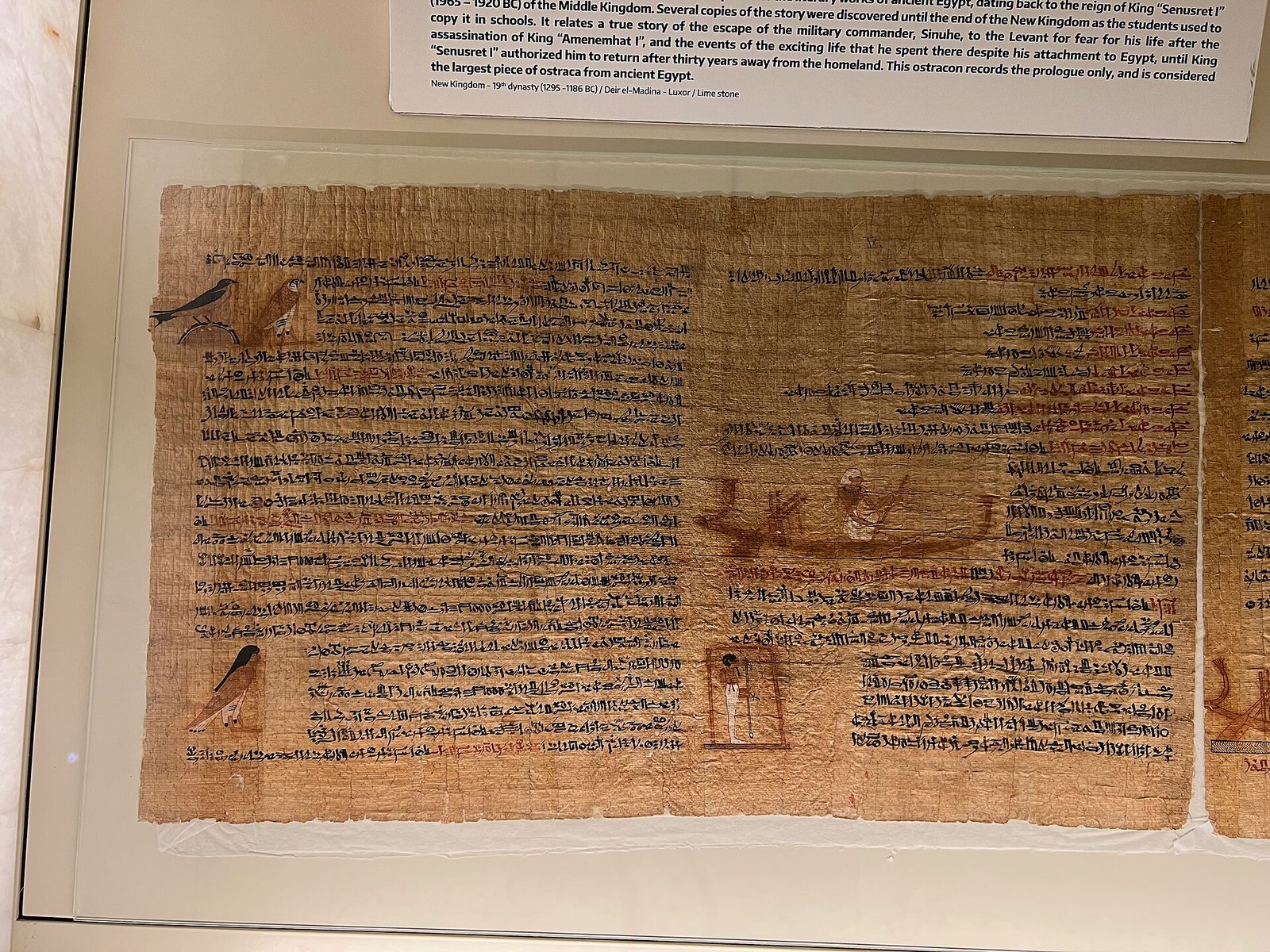 Designed museum gallery at the National Museum of Egyptian Civilization